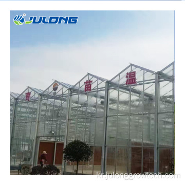 농업 Venlo Multi Span Hydroponic Glass Green House